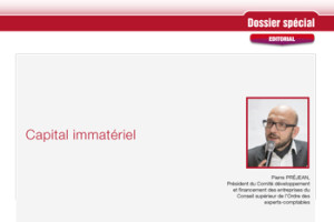 Dossier Spécial « Capital Immatériel » Dossier Spécial « Capital Immatériel »